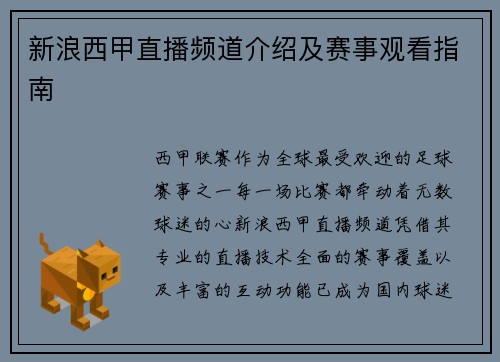 新浪西甲直播频道介绍及赛事观看指南
