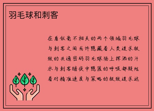 羽毛球和刺客
